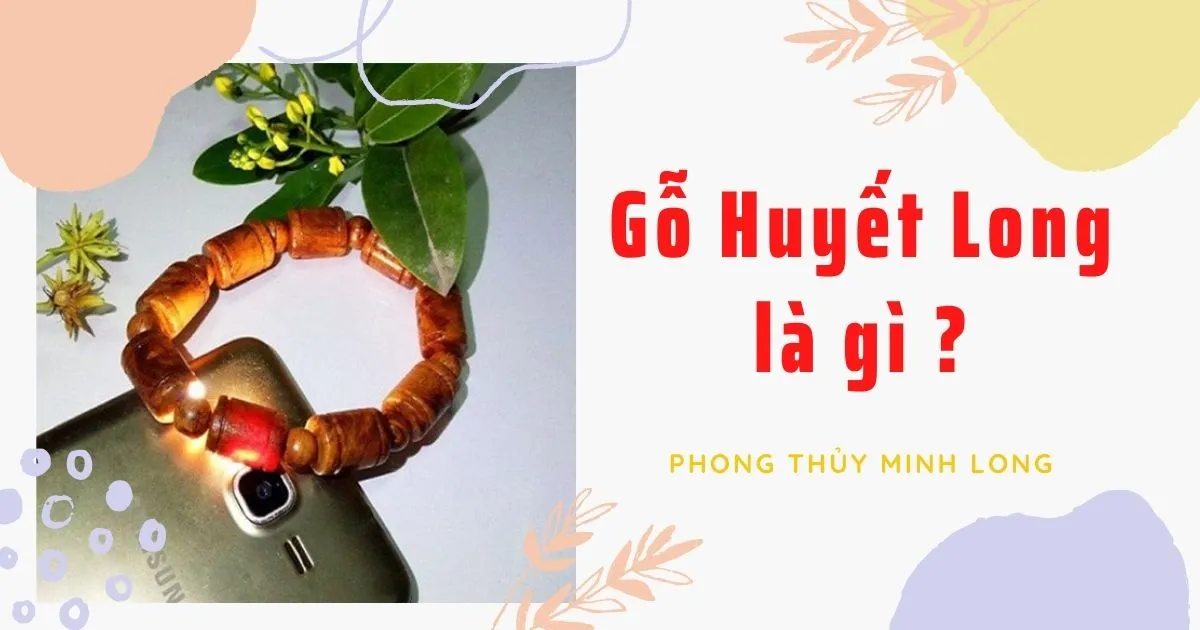 Tác Dụng Của Gỗ Huyết Long Và Bí Mật Vận May 2026 28 Bản chất đặc thù của dòng gỗ huyết rồng quý hiếm từ rừng già Indonesia
