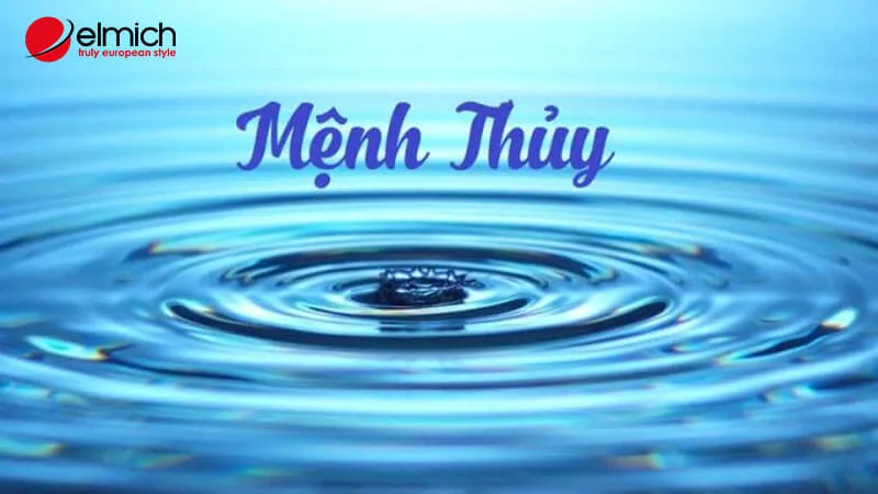 Mệnh Thủy Là Tuổi Gì? Bảng Tra Cứu Nạp Âm Và Cách Chọn Đá Quý Hợp Mệnh 2026 9 Các năm sinh tương ứng với người mệnh Thủy