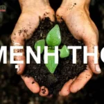 Mệnh thổ sinh năm nào, mệnh gì?