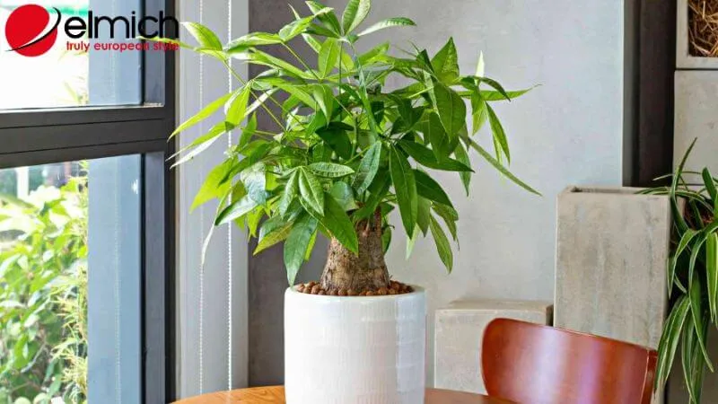 Hình 11: Kim Ngân giúp gia chủ quản lý tài chính hiệu quả hơn