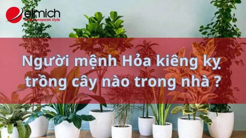 Hình 13: Tránh những cây thuộc hành Thủy để không gây xung khắc năng lượng