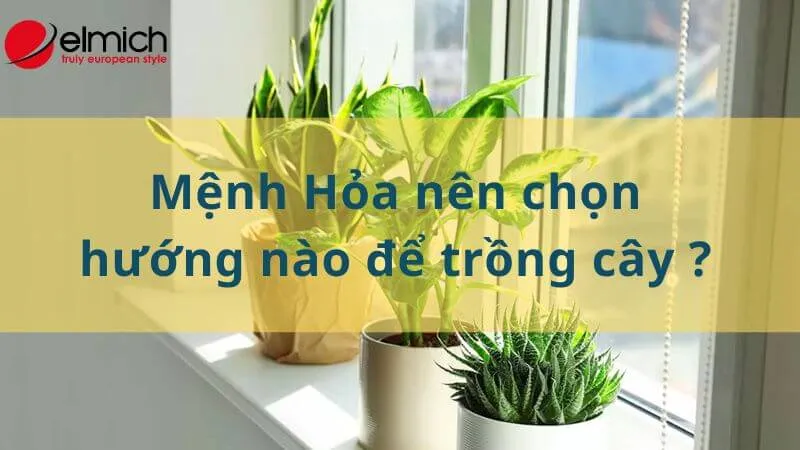 Hình 14: Sơ đồ hướng đặt cây tốt nhất cho người mệnh Hỏa