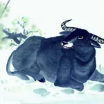 Tài liệu văn bản minh họa khái niệm cơ sở pháp lý và quyền lợi cho nhóm người lao động lớn tuổi