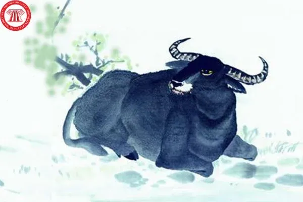 Tài liệu văn bản minh họa khái niệm cơ sở pháp lý và quyền lợi cho nhóm người lao động lớn tuổi