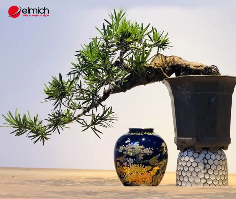 Tùng La Hán kết hợp đá phong thủy là lựa chọn đẳng cấp