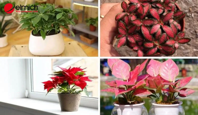 Phân tích các màu sắc tương khắc với người mệnh Thủy năm 2026