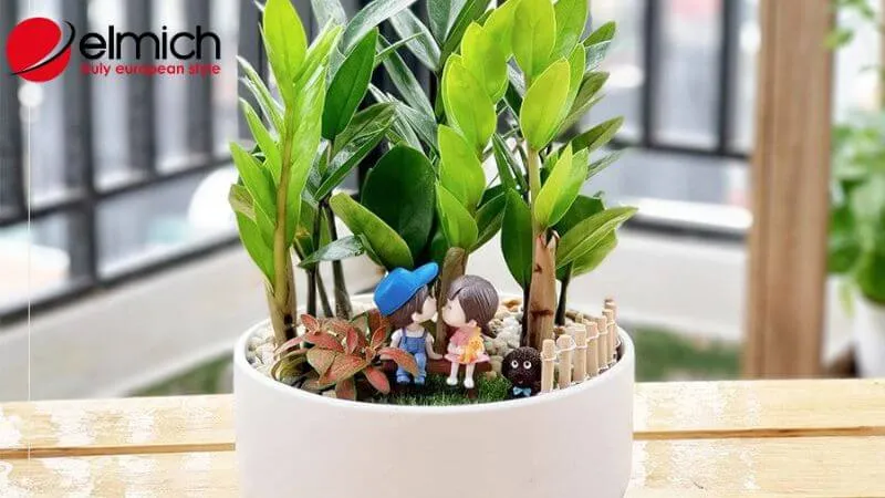 Hình 5: Kim Tiền là loại cây kinh điển mang lại tài lộc và sự mạnh mẽ