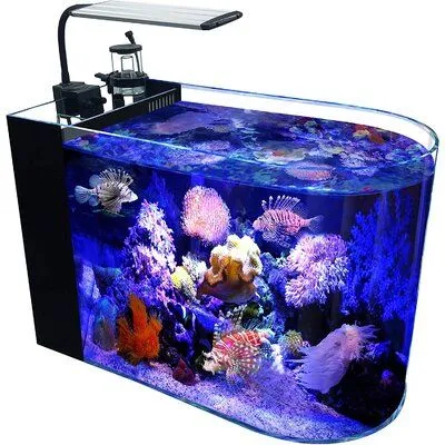 Bể hình tròn thuộc hành Kim có thể khiến Thủy (hành đại diện cho tiền tài) sinh sôi