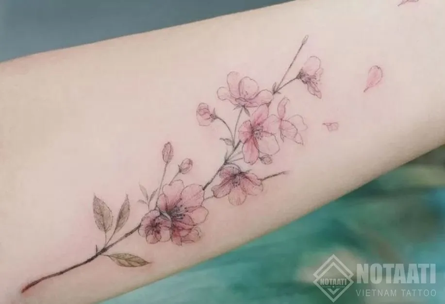 Hoa đào - biểu tượng của mùa xuân, thể hiện sự bí ẩn