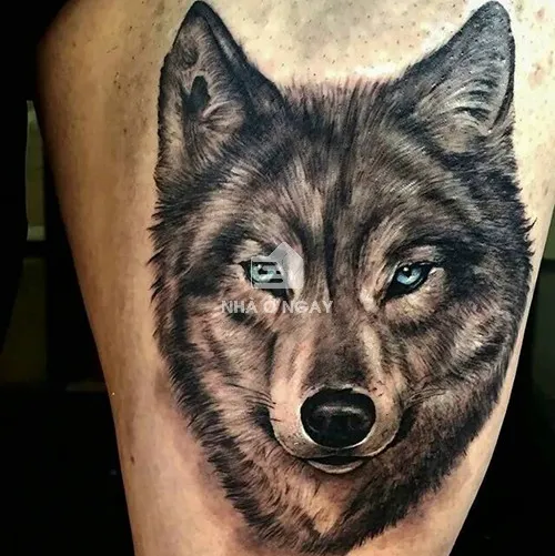 Hình xăm rồng vàng hợp mệnh Hỏa Bính Dần