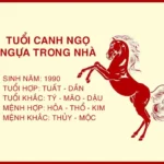 Đặc điểm tử vi và bản mệnh người sinh năm Canh Ngọ 1990