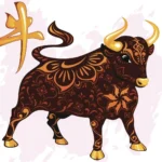 hinh anh tuoi suu hop huong nao huong nha tuoi suu hut tai loc so 1