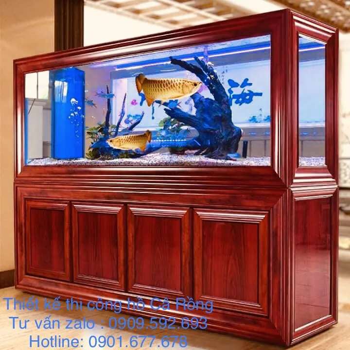 Hoàng Hải – địa chỉ thiết kế hồ cá rồng chuẩn phong thủy