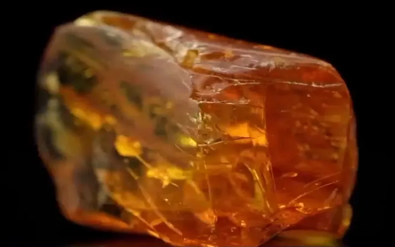 Những viên hổ phách nguyên liệu sau khi được làm sạch, bộc lộ vẻ đẹp tự nhiên của hóa thạch nhựa cây.