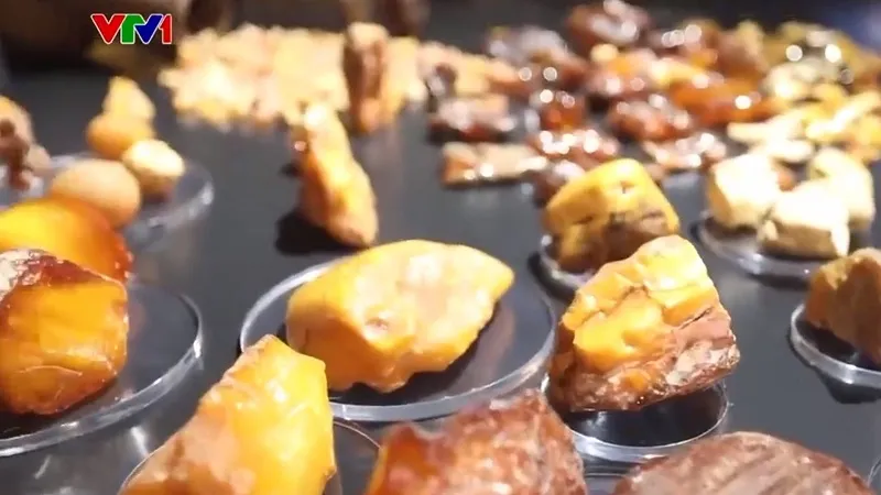 Quy trình khai thác hổ phách Baltic tại mỏ lộ thiên Primorsky bằng công nghệ thủy lực hiện đại.