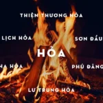 thiết kế hồ koi người mệnh hoả