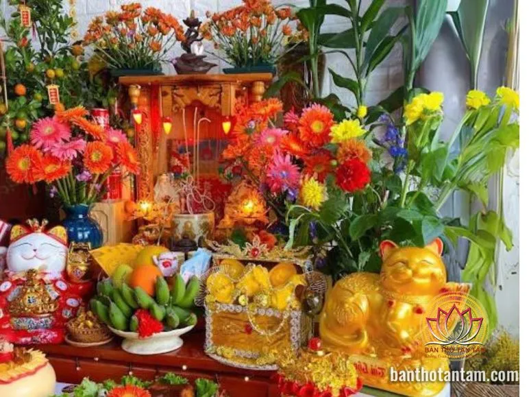 Hoa đồng tiền rực rỡ mang lại tài lộc cho gia chủ