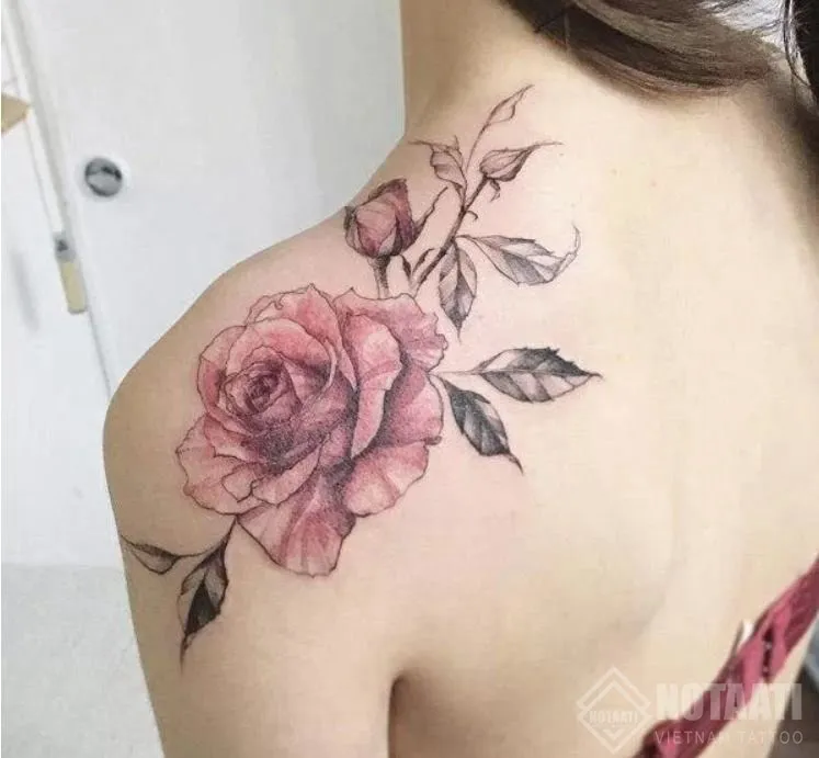 Hoa hồng thể hiện sự vĩnh hằng và ngưỡng mộ