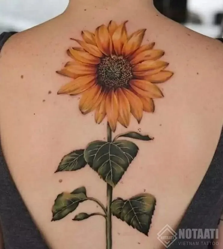 Hoa hướng dương - ngày mai sẽ tốt hơn ngày hôm nay