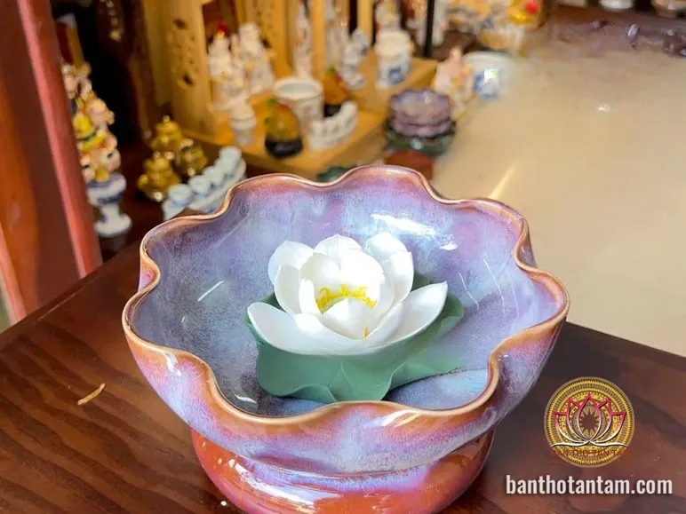 Hoa sen trắng thanh khiết trên bàn thờ Thần Tài