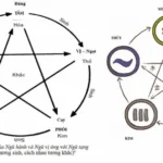 Học thuyết ngũ hành trong y học và đời sống