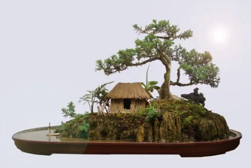 Hòn non bộ phong thủy cho gia chủ mệnh Thổ đặt tại sân vườn