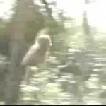 Video hướng dẫn 500 năm dưới ngũ hành sơn cảm âm trên Youtube