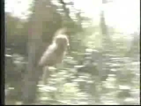 500 Năm Dưới Ngũ Hành Sơn Cảm Âm Chuẩn Sáo Trúc 2026 32 Video hướng dẫn 500 năm dưới ngũ hành sơn cảm âm trên Youtube