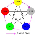 Sơ đồ ngũ hành tương sinh tương khắc mô tả quy luật vận động của tự nhiên
