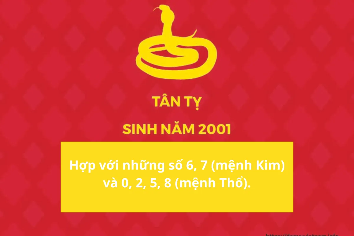 Con số may mắn Tân Tỵ 2001