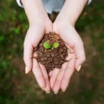 Mệnh Thổ tượng trưng cho đất đai nuôi dưỡng vạn vật