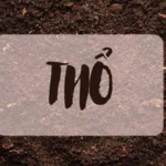 Tổng quan về người mệnh Thổ