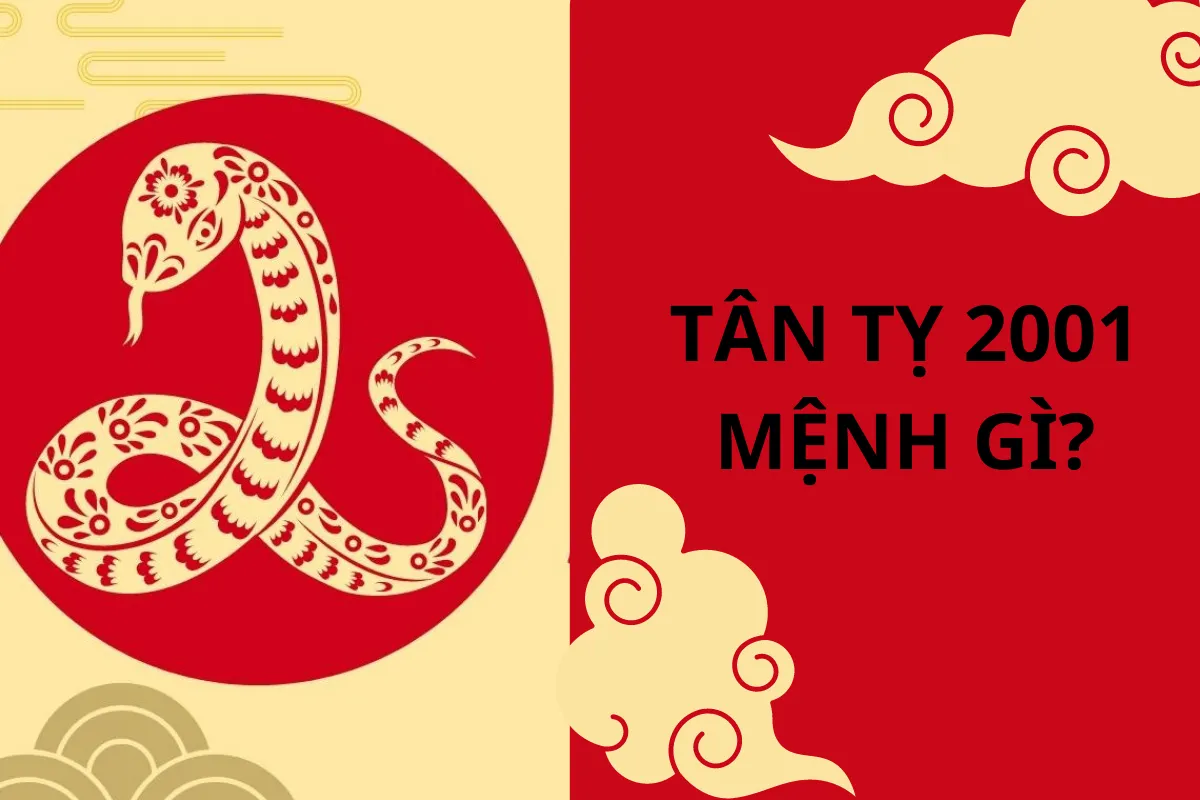 Mệnh Bạch Lạp Kim - sinh năm 2001 tuổi con gì