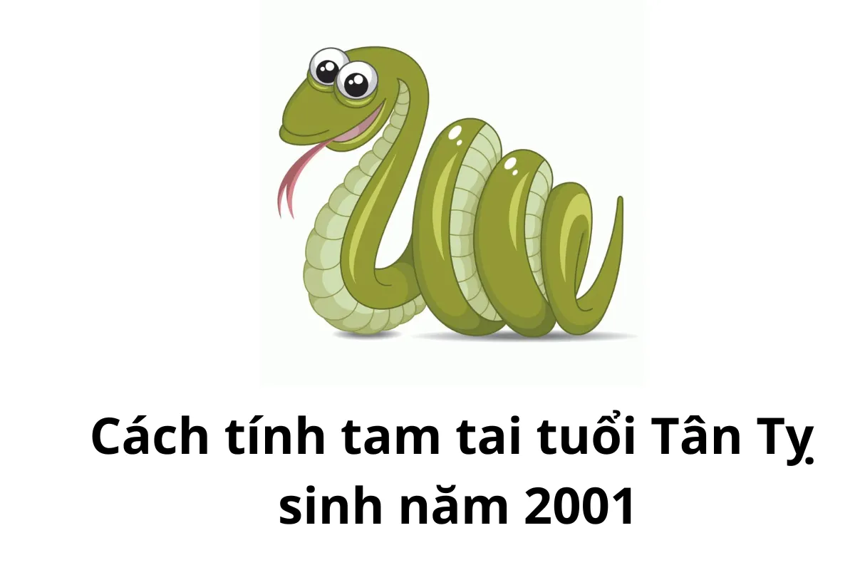Hạn tam tai Tân Tỵ 2001