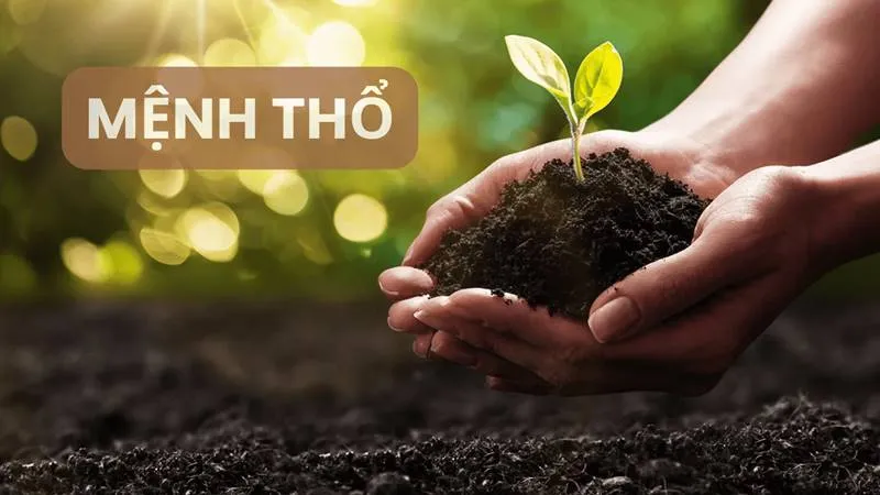 Mệnh Thổ hợp với những mệnh gì