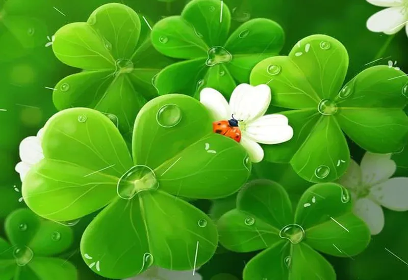 Mẫu cỏ 4 lá độc đáo cho các bạn học sinh làm hình đại diện để cầu may mắn