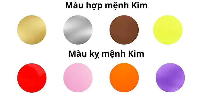 Màu sắc hợp kỵ tuổi Tân Tỵ 2001