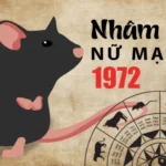 Bảng luận giải chi tiết cung mệnh ngũ hành tương sinh tương khắc