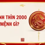 Tổng quan cung mệnh tuổi Canh Thìn 2000 trong phong thủy ứng dụng