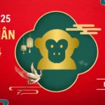 Lá số tử vi chi tiết cho nam mạng tuổi Giáp Thân năm 2026