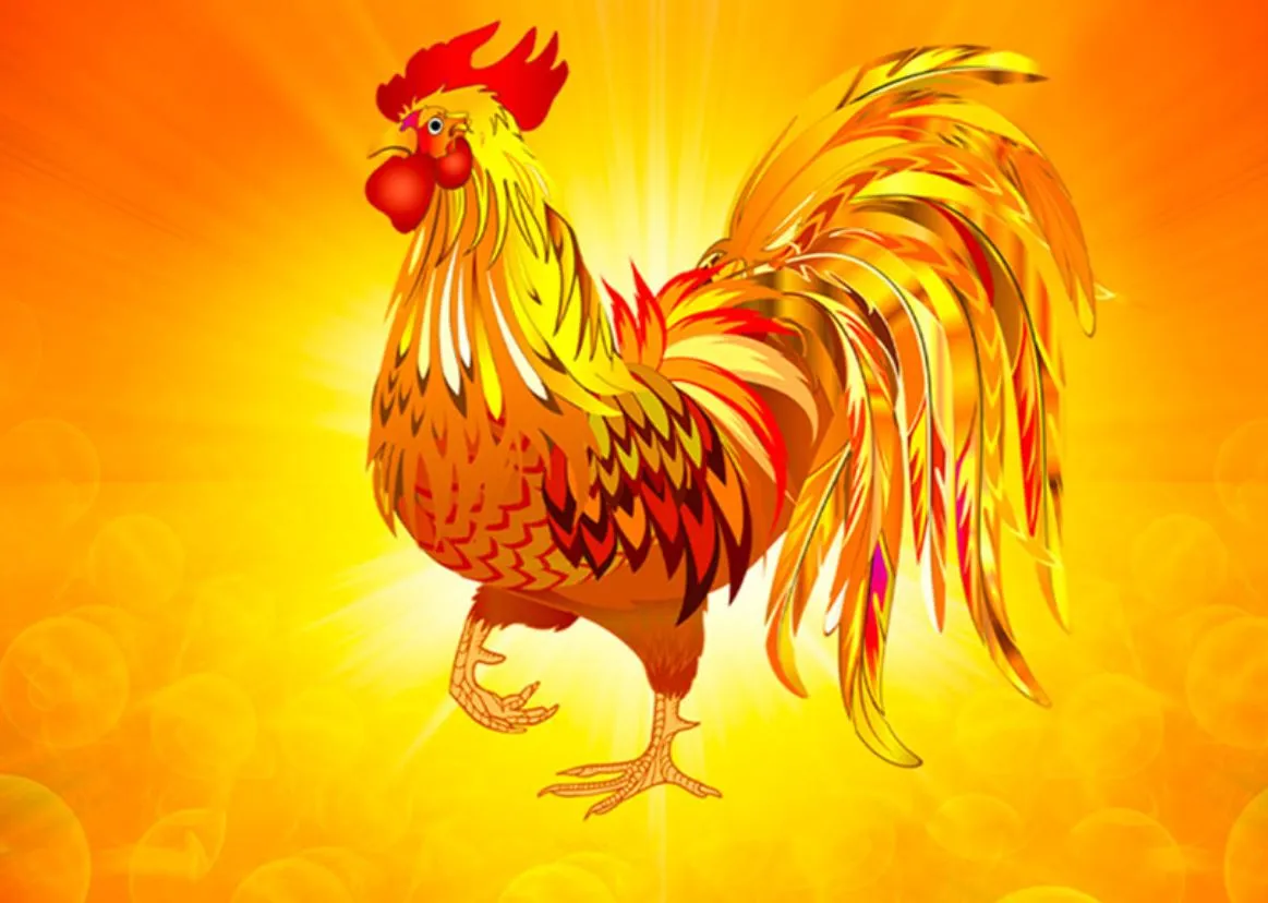 Người phụ nữ tuổi Dậu 1969 đang chăm sóc không gian sống theo phong thủy Bát Trạch