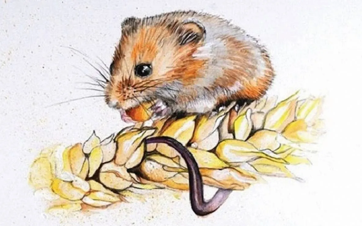 Sơ đồ tương quan các con giáp hợp khắc trong vòng tròn can chi