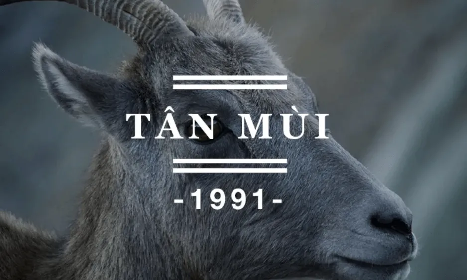 Tử vi tuổi Tân Mùi 1991 nam mạng năm 2026