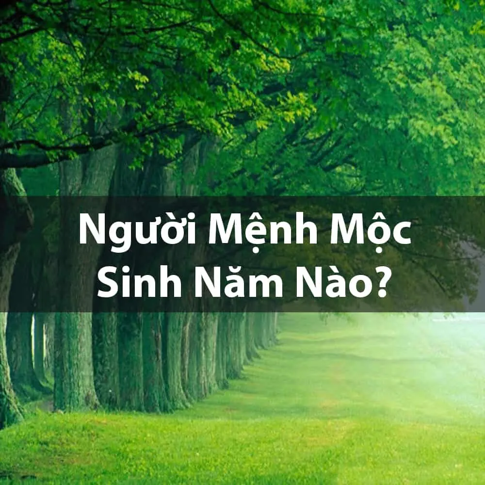 Xác định chính xác năm sinh người mệnh Dương Liễu Mộc giúp lựa chọn vật phẩm phong thủy chuẩn xác