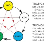 Bản đồ phân bố quy luật ngũ hành tương sinh tương khắc giữa các hành