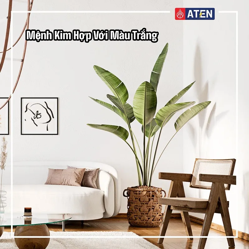 sắc trắng mang lại sự tinh khôi cho không gian phòng ngủ