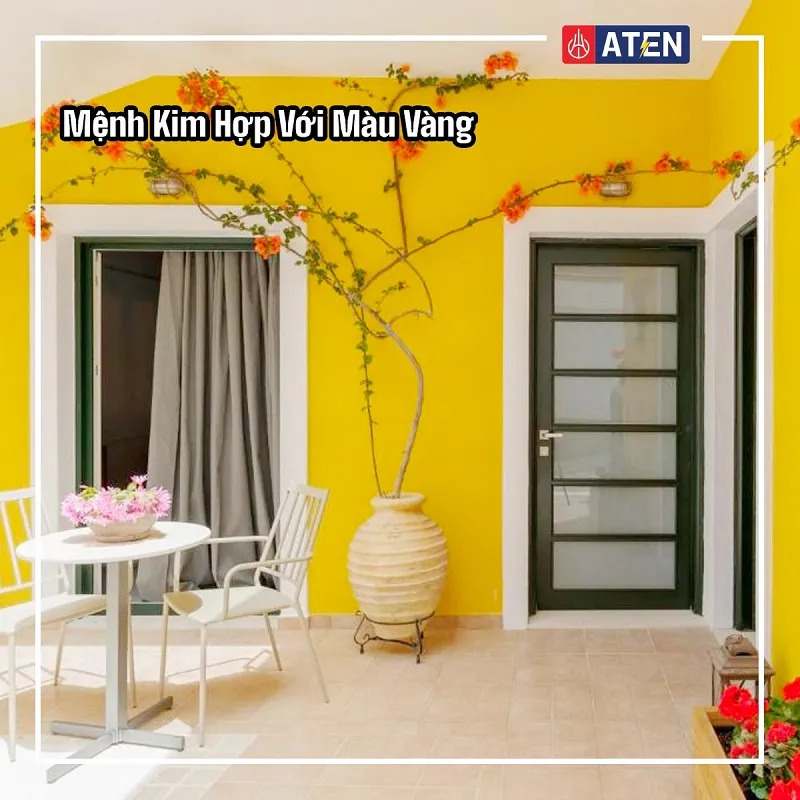 màu vàng là màu đại diện tốt nhất cho sự tương sinh