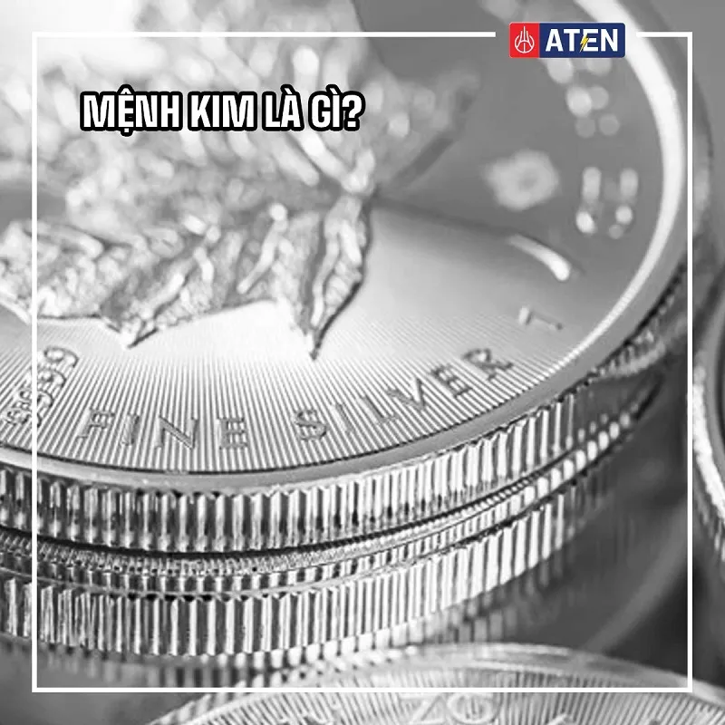 bản chất hành kim liên quan đến khoáng vật và kim loại