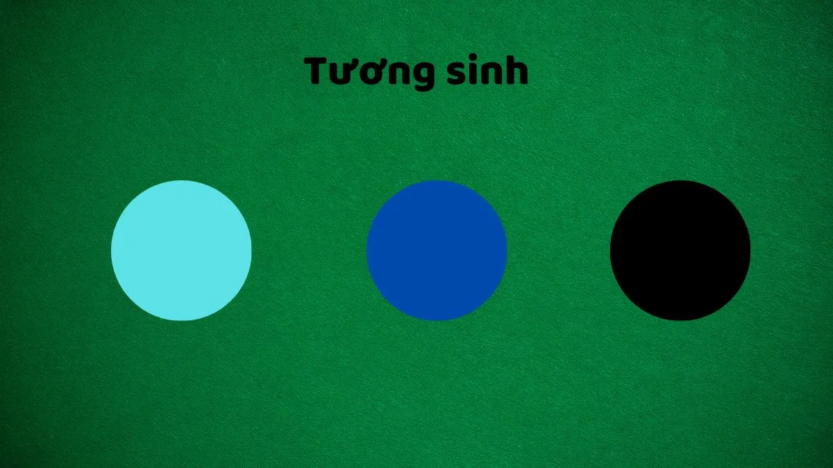 Màu sắc tương sinh với mệnh Mộc