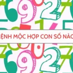 Mệnh Mộc hợp số nào?